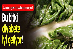 Bu Sebze Diyabete İyi Geliyor