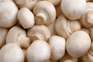 Diyarbakır da Mantar Yetiştiriciliği