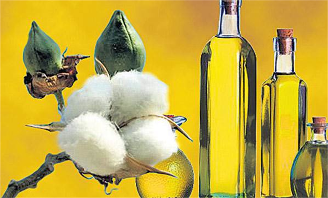 3 5 liralık Pamuk Yağı Zeytinyağı Diye Satılıyor