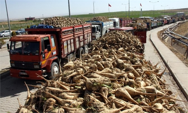 Başkan Kesber Kuş tan Kota Esneme Hakkı Müjdesi