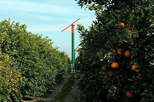 Narenciye Üreticisine Don Kırıcı Pervane Kullanın Önerisi