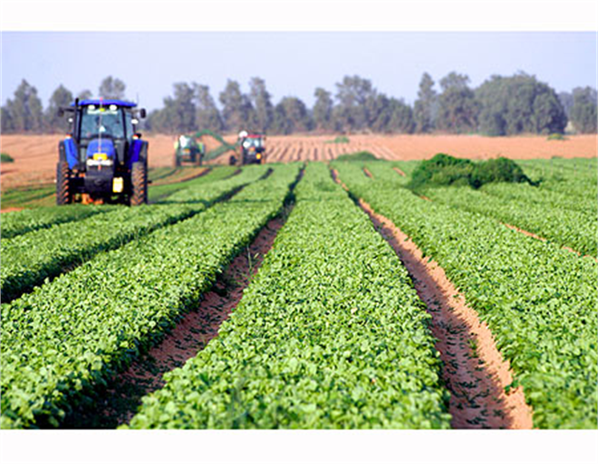 ABD de Tarım Dışı İstihdam Beklentilerin Çok Üstünde Geldi