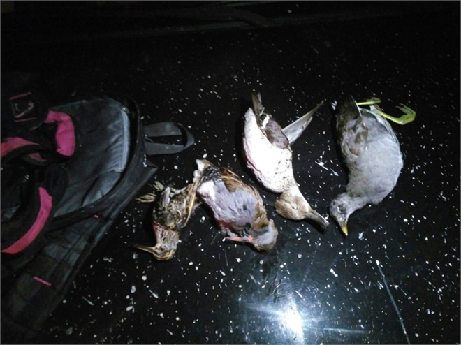 Kaçak Avcılara 6 Bin 576 TL Ceza