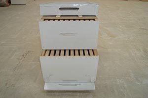 6000 Adet Çift Katlı Arı Kovanı Dağıtıldı