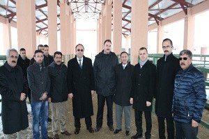 Muş ta Eski Hükümlülere Süt İneği Desteği