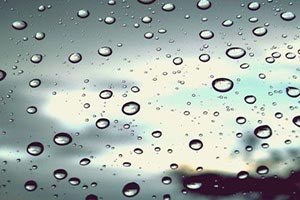 Yağışlar Gap Çiftçisini Umutlandırdı