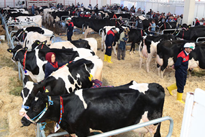 Milli Tarıma Aydın Dopingi