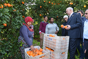 Rus Ambargosunun Kalkması Çiftçimizi Rahatlatacak