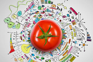 Sürdürülebilir Gıda İçin Yol Haritası Çizilecek