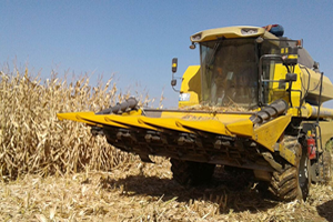 Bakım Koşulu ve Toprak Yapısı 35 Ton Mısırı Heba Etti