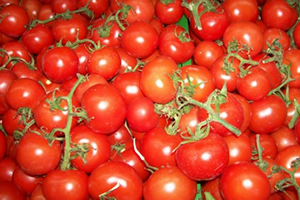 İzni Çıkmayan Domates Elde Kaldı