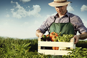 Organik Tarım ve Hayvancılığa Dair Bilinmesi Gerekenler