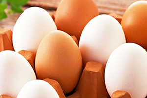 Ağustosta 1,6 Milyar Tavuk Yumurtası Üretildi