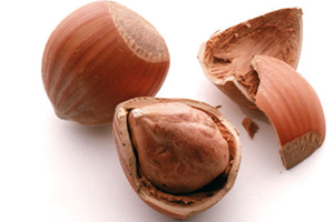 Fındık 11 Liranın da Altına Düştü