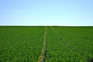 Türkiyenin Tarım Alanları Kararıyor