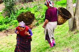 TÜDKİYEB`TEN Dünya Kadın Çiftçi Günü Açıklaması