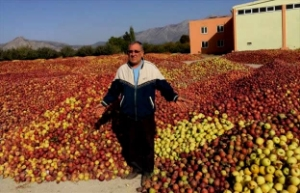 Çivril de Üreticiler Elmalarını Satamadı