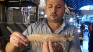 Akdeniz de İlk Kez Görüldü