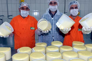 Peynirde Lezzetin Adı Göle Kaşarı