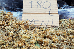 Ihlamur Fiyatları Düştü