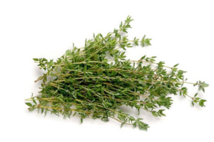 İlaç Üreticileri Türk Kekiğini Kullanmak Zorunda