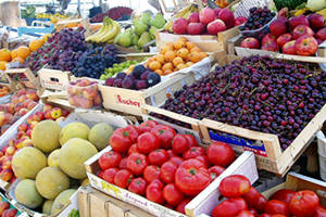 Ruslar Türk Şirketleriyle Ortak Tarım Projeleri Yapma Konusunda Temkinli Davranıyor