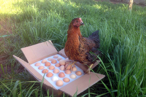 Genç Girişimcilerden Bir Yenilik Daha