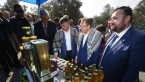 Ayvalık ta Zeytin Hasat Şöleni yapıldı