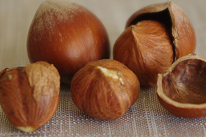 Türkiye AB Fındık Danışma Delegasyonu ndan Tepki