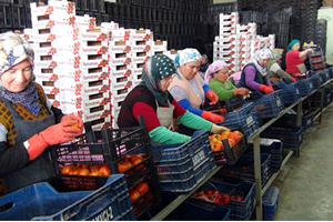 Yeşil Pasaport İhracata Hız Verecek