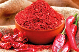 Küresel Ticaret Arenasında Rekabet Gücü Sağlandı