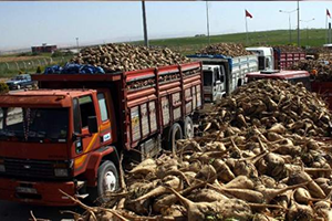 Pancar Üreticisinin Yükünü Teknoloji Sırtlıyor
