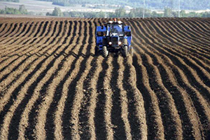 2016 Yılı Bitkisel Üretim 2 nci Tahmini Açıklandı