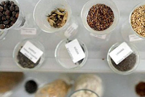 Tohum Takas Şenlikleri Yasaklanmalı mı