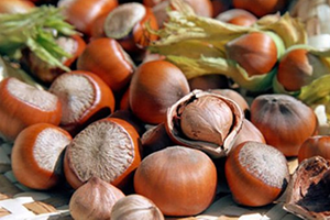 Yerli Sermayeye Yatırım Daveti