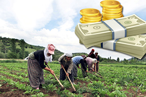 Bitkisel Üretim İşletme Kredisi