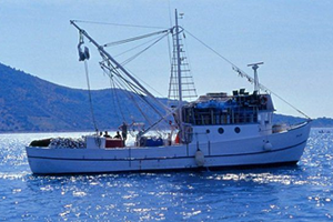 Avcılığı Bırakana Destek