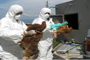 Hayvan Hastalıkları İle Mücadeleye Destek