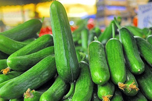 Eylül de Zam Şampiyonu Hıyar