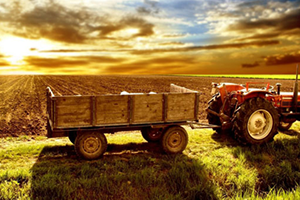 Devlet Tarlayı Ekip Kirasını Ödeyecek