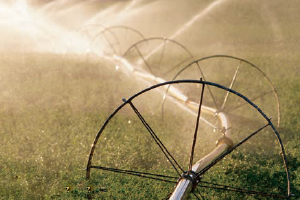 Modern Tarıma İlgi Artıyor