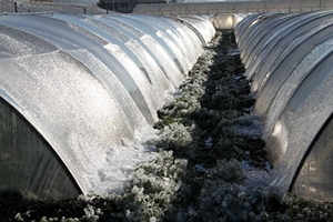 Meteorolojiden Zirai Don ve Buzlanma Uyarısı
