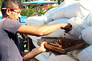 TARİŞ Kuru Üzüm Fiyatını Açıkladı