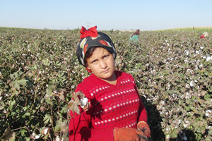 Üreticiler De İşçiler De Dertli