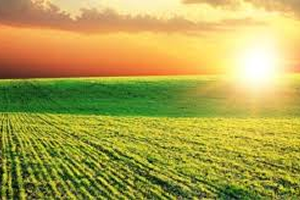 Keyfimizden Değil Yokluktan Ekemiyoruz