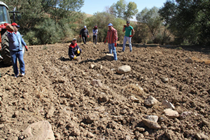Çiftçiler Taş Toplama Makinesi İstiyor