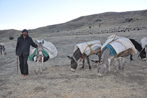 Göçerlerin Zorlu Dönüş Yolculuğu Sürüyor