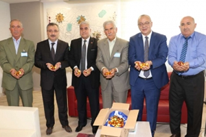 Kırsala Destek Meyvelerini Verdi