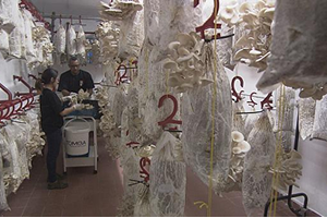 Atık Gıdalarla Üretim ve Yeni Tariflerle Farklı Tatlar