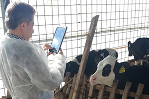 Hasar Yönetiminde Tablet Teknolojisi